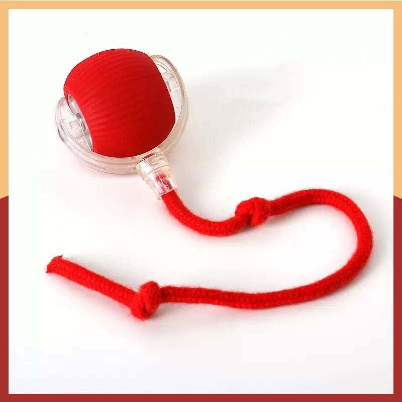 Final 3 hours 50% off🔥 🐶 Smart Pet Ball – Your Pet’s New Favorite Interactive Toy 🐱