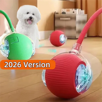 Final 3 hours 50% off🔥 🐶 Smart Pet Ball – Your Pet’s New Favorite Interactive Toy 🐱