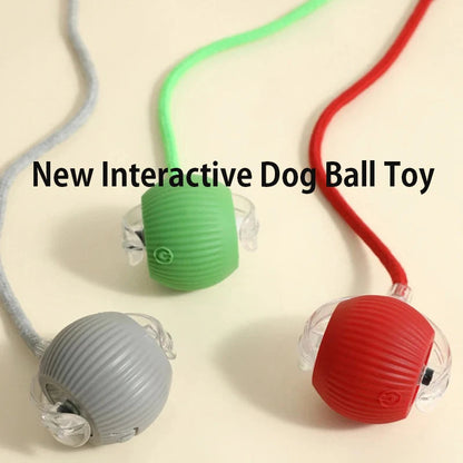 Final 3 hours 50% off🔥 🐶 Smart Pet Ball – Your Pet’s New Favorite Interactive Toy 🐱